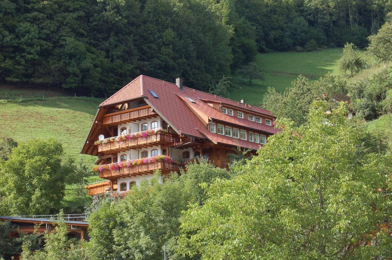 Ehrenmaettlehof Faisst Lejlighedshotel Bad Peterstal-Griesbach Eksteriør billede