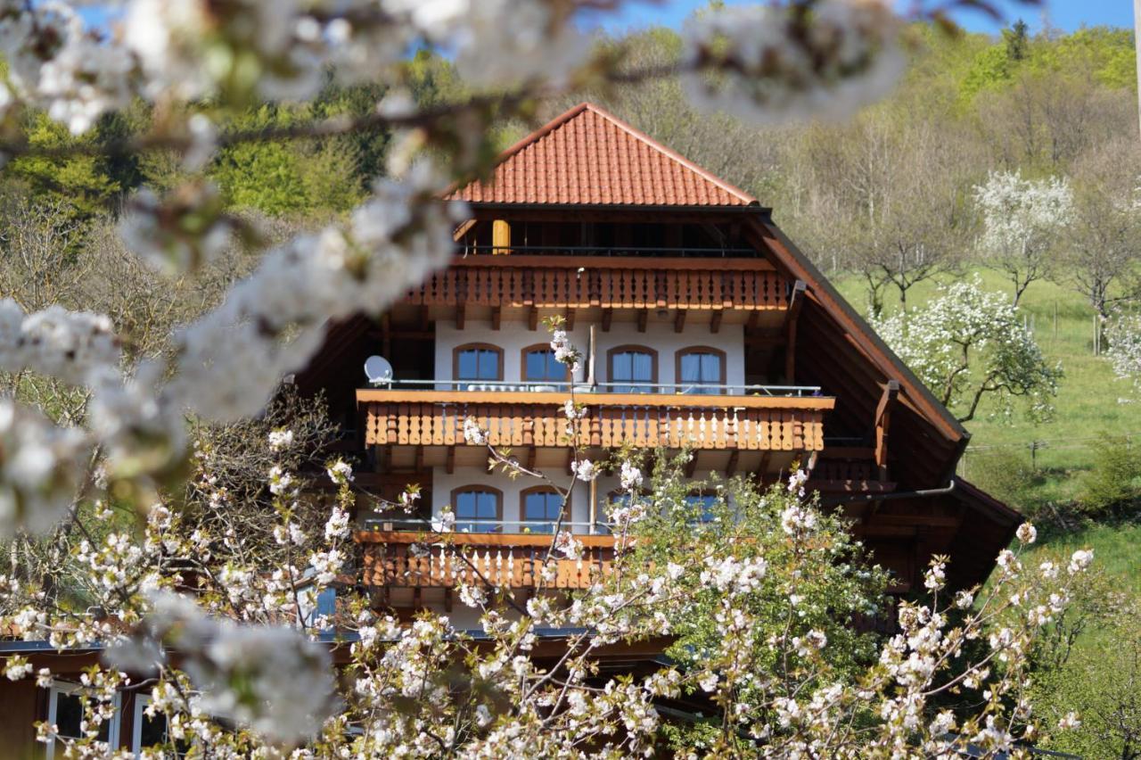 Ehrenmaettlehof Faisst Lejlighedshotel Bad Peterstal-Griesbach Eksteriør billede