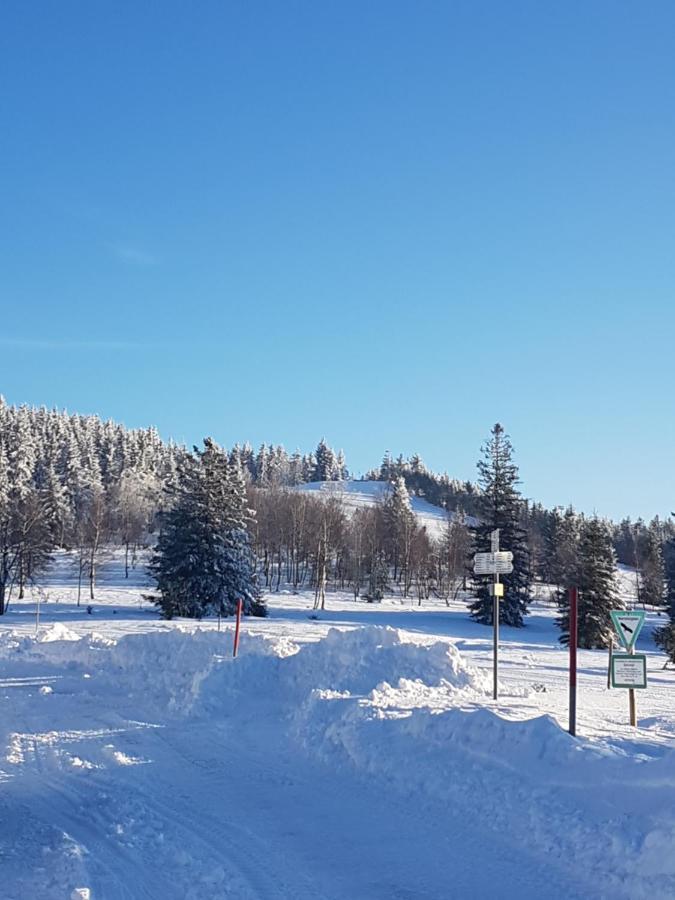 Ehrenmaettlehof Faisst Lejlighedshotel Bad Peterstal-Griesbach Eksteriør billede